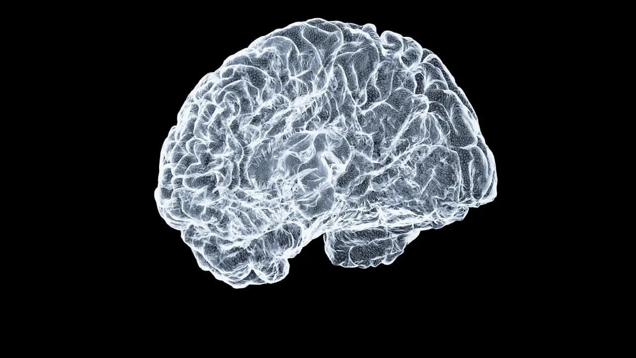 Mental Health and Neurogenomics: What Your Genes Reveal About Your Brain